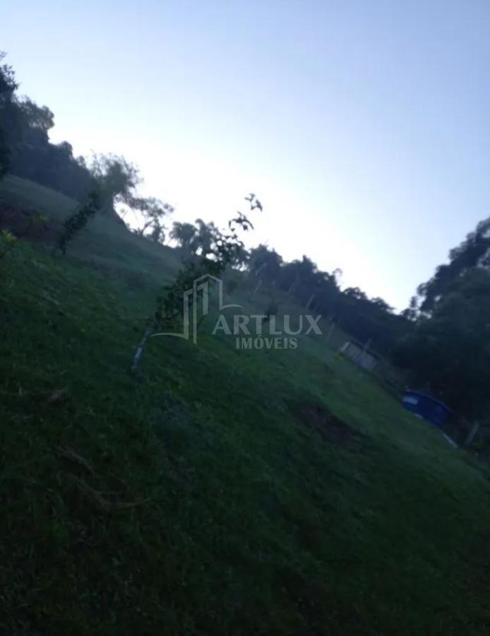 Sítio à venda com 2 quartos, 8600m² - Foto 5