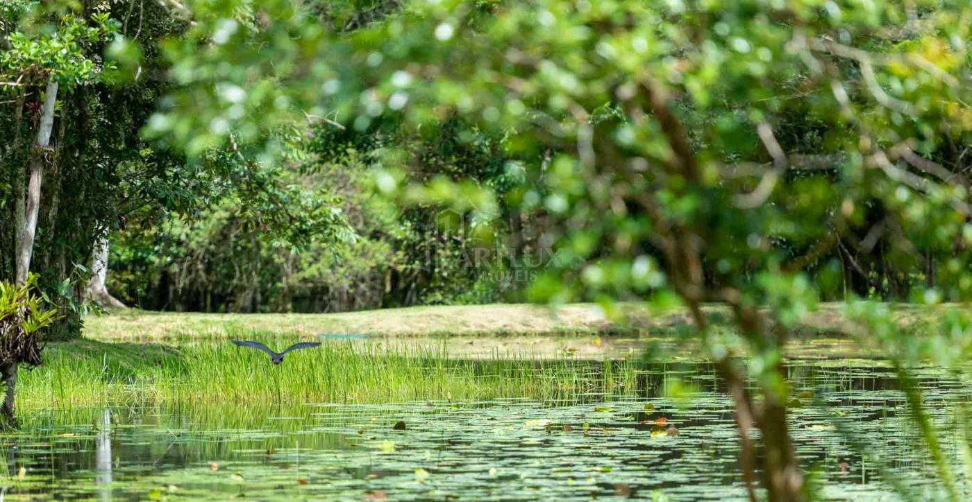 Terreno, 1235 m² - Foto 22