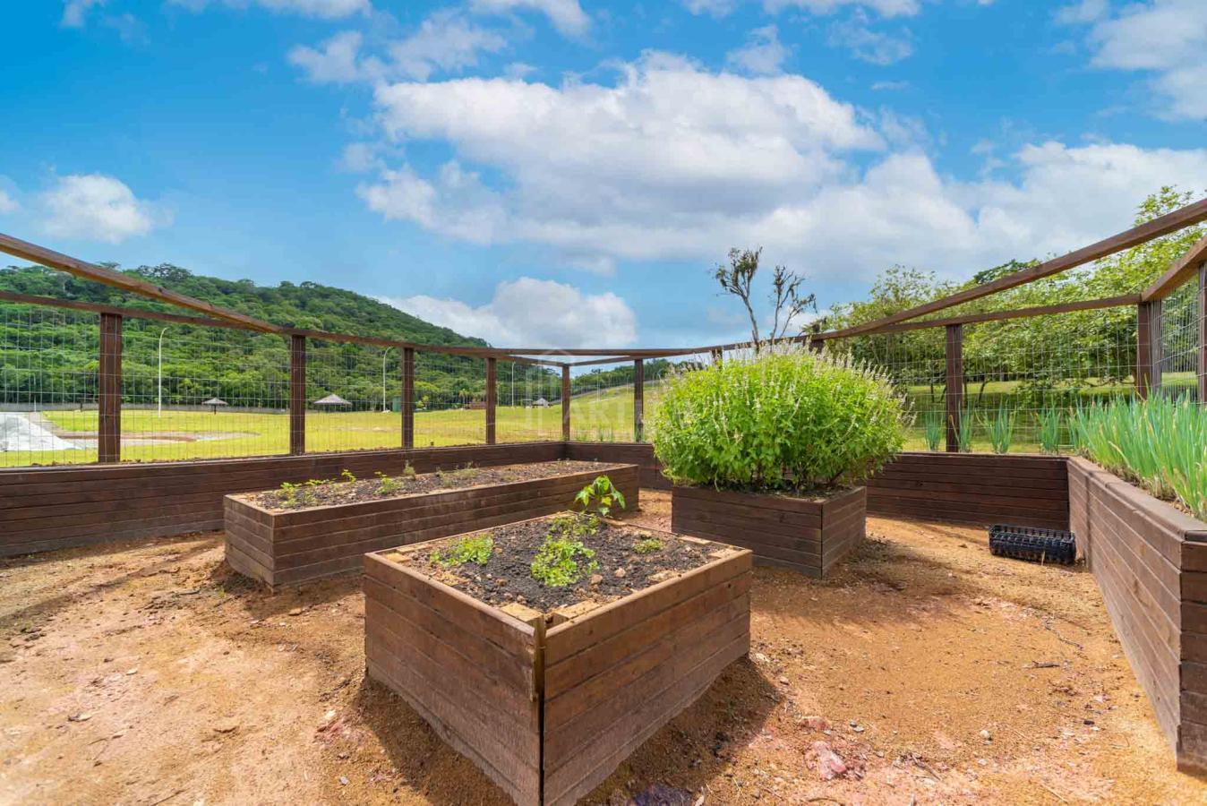 Terreno, 1235 m² - Foto 23