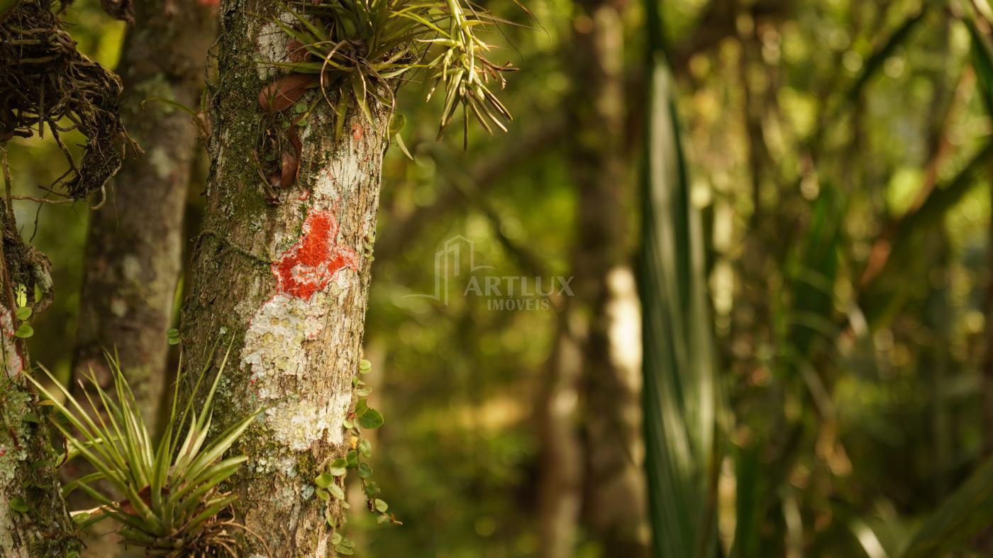 Terreno, 1235 m² - Foto 27