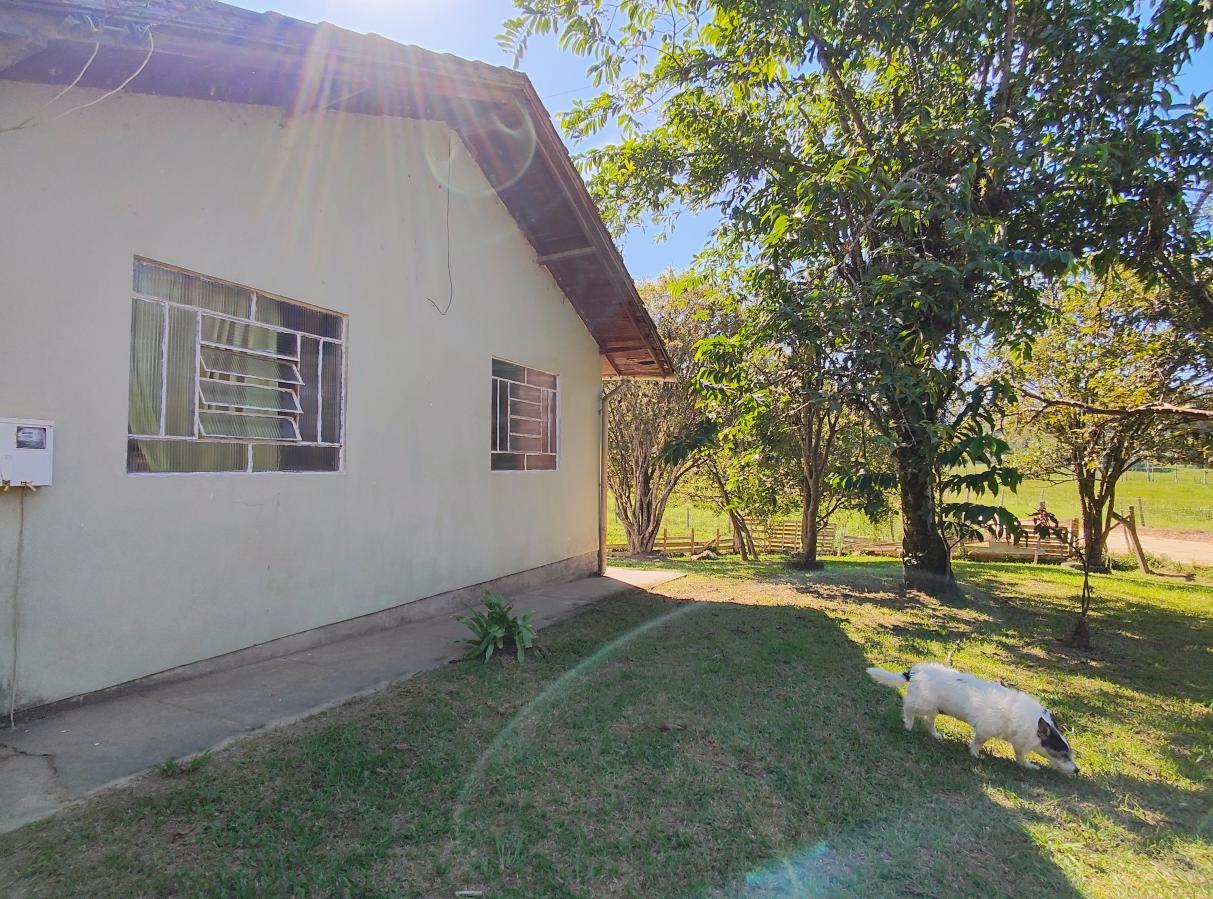 Sítio à venda com 3 quartos, 62408m² - Foto 6