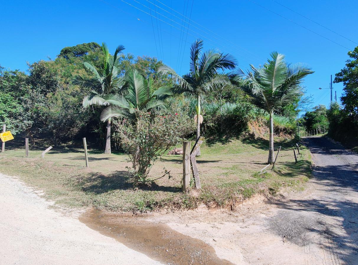 Sítio à venda com 3 quartos, 62408m² - Foto 4