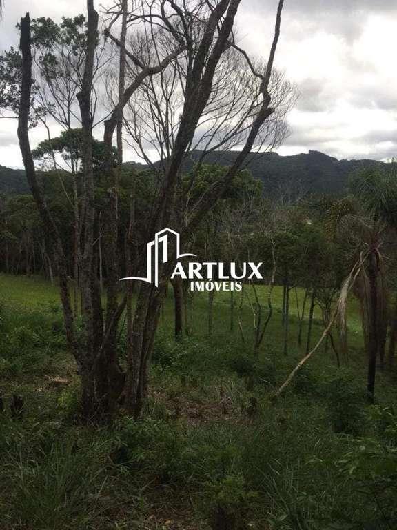 Sítio à venda com 2 quartos, 34000m² - Foto 6