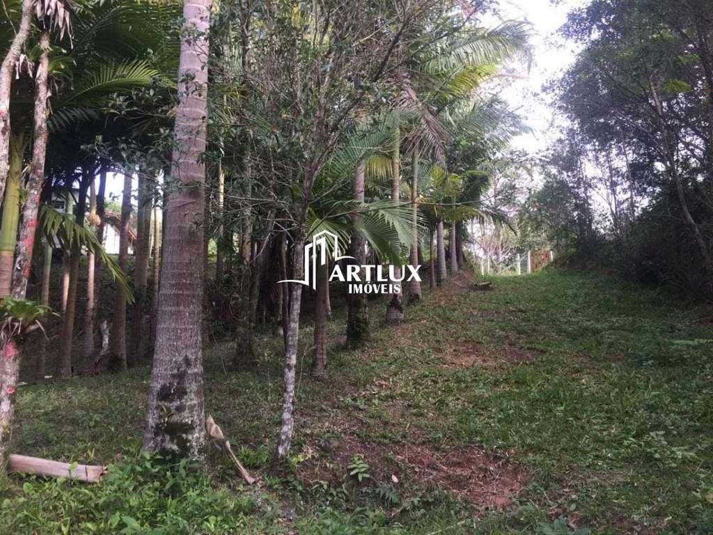 Sítio à venda com 2 quartos, 34000m² - Foto 13