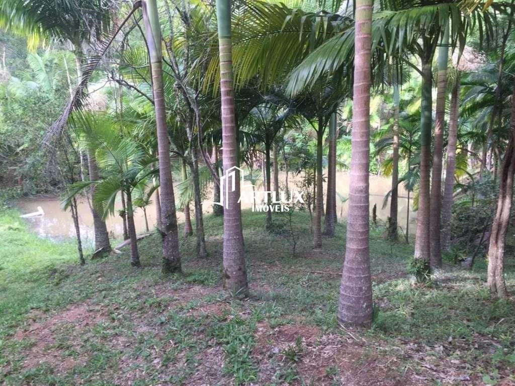 Sítio à venda com 2 quartos, 34000m² - Foto 19