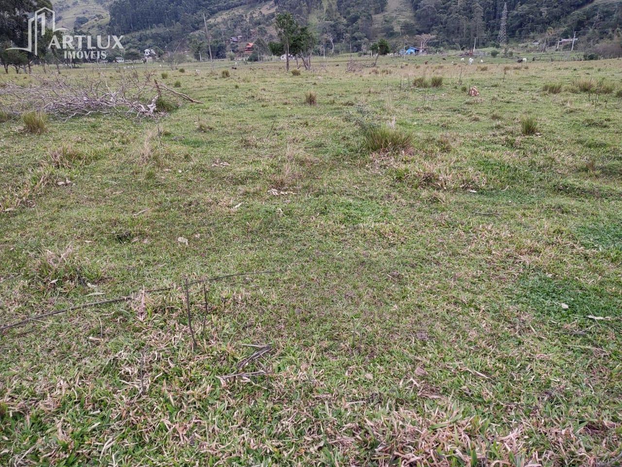 Terreno, 3 hectares - Foto 3