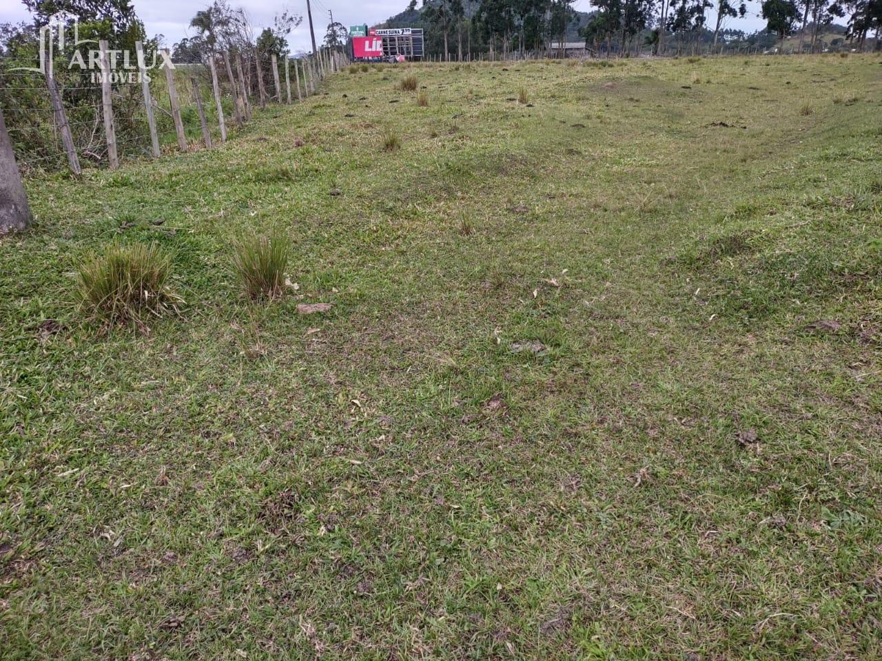 Terreno, 3 hectares - Foto 4