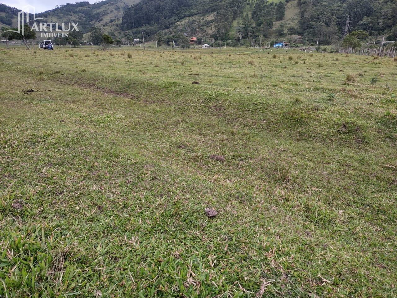 Terreno, 3 hectares - Foto 5