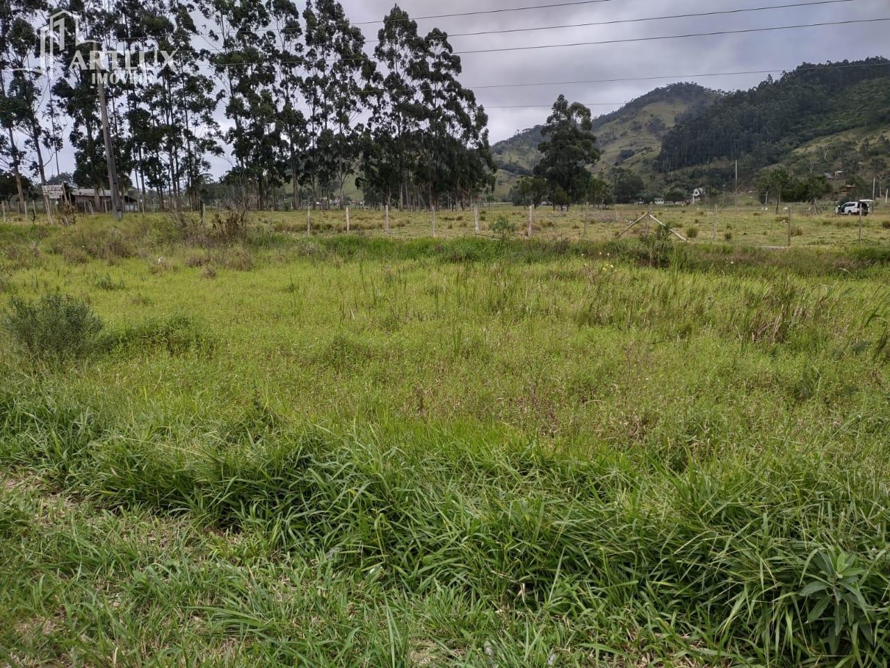 Terreno, 3 hectares - Foto 7